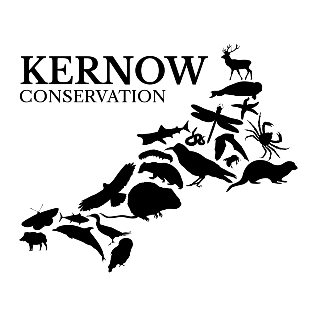 kernow conservation logo