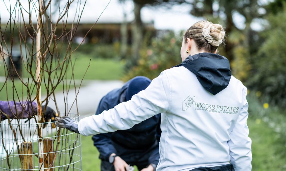 Clean Cornwall - Tree Planting Feb 24 -10